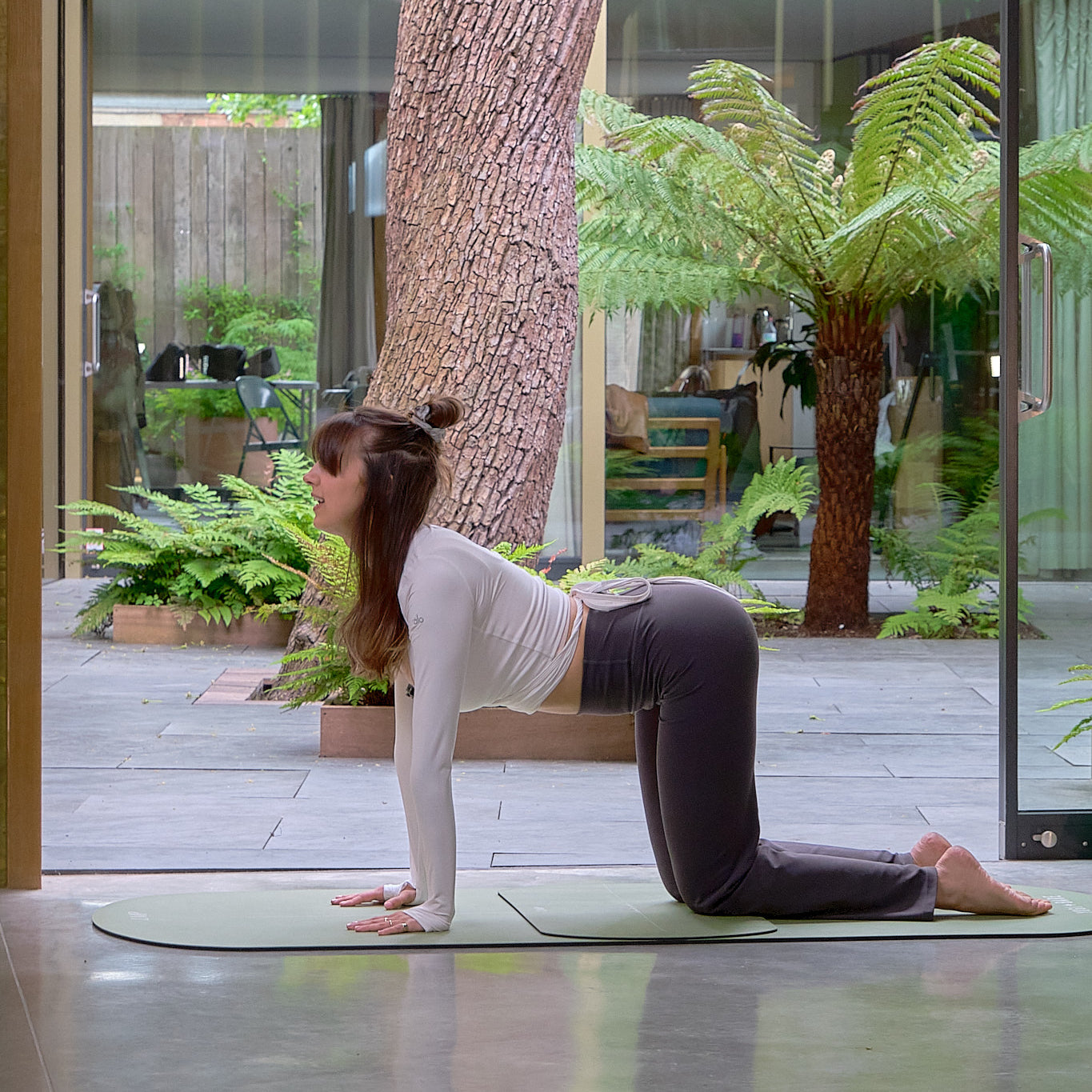 Paws Yoga Mats – Yogi Bare
